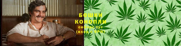 сатива Абинск
