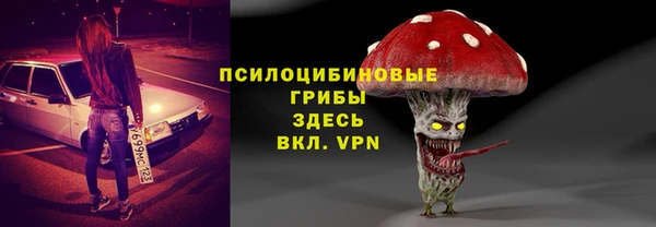 сатива Абинск