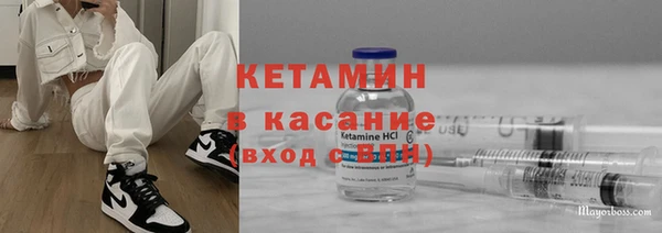 сатива Абинск