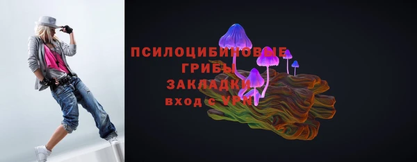 спайс Каменногорск