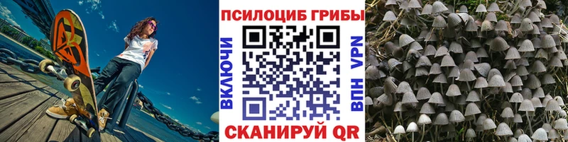 купить закладку  omg как зайти  Галлюциногенные грибы Magic Shrooms  Братск 